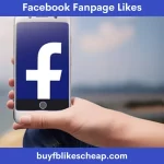 Facebook Fanpage Likes